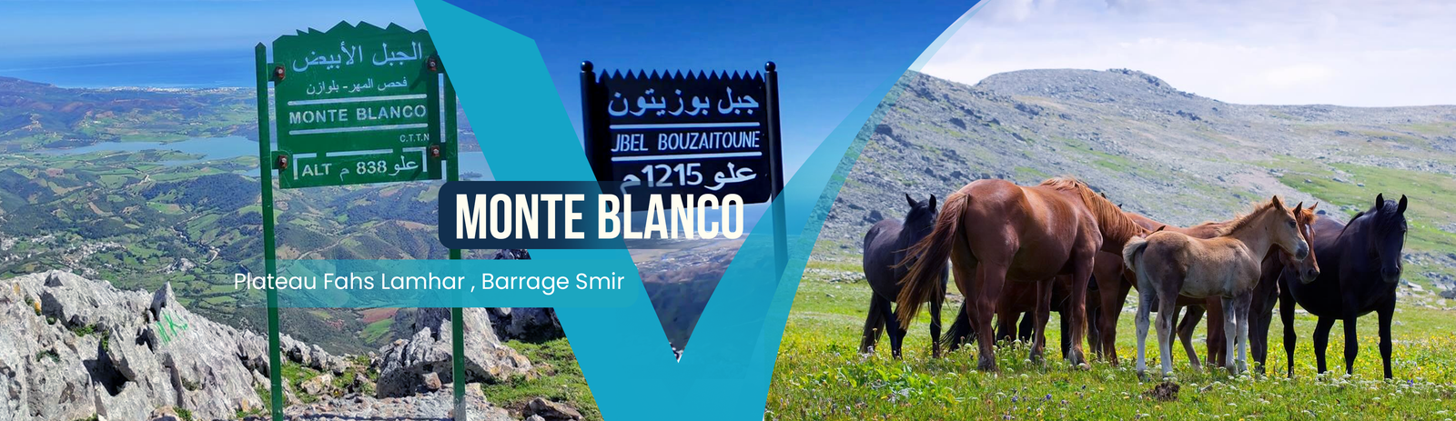 FAHS LAMHAR -MONTE BLANCO & BOUZITOUNE