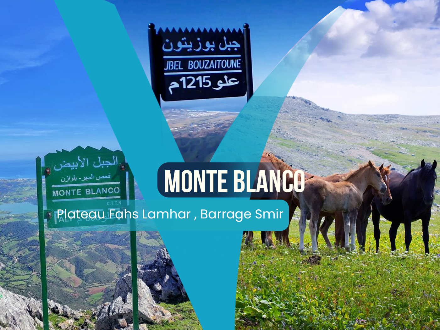 FAHS LAMHAR -MONTE BLANCO & BOUZITOUNE